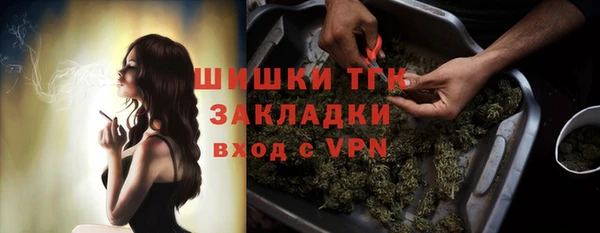 PSILOCYBIN Алзамай
