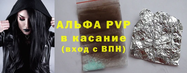 PSILOCYBIN Алзамай