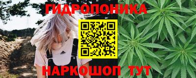 кокс Краснодар