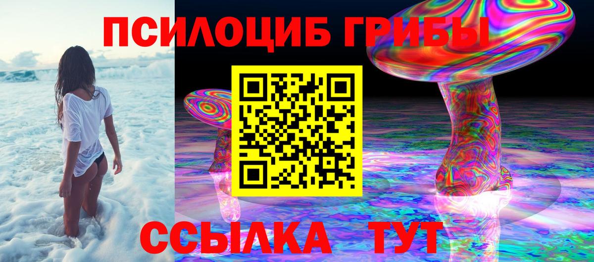 Галлюциногенные грибы MAGIC MUSHROOMS  Псилоцибиновые грибы Psilocybe  Вход с VPN  Кудрово 