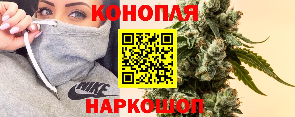 Шишки марихуана SATIVA & INDICA  Вход с VPN  Кудрово  Шишки марихуана сатива  Бошки Шишки планчик 